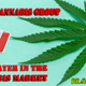 Illustration for article titled Cannabis Stocks: What Company Does Imperial Brands Invest In?